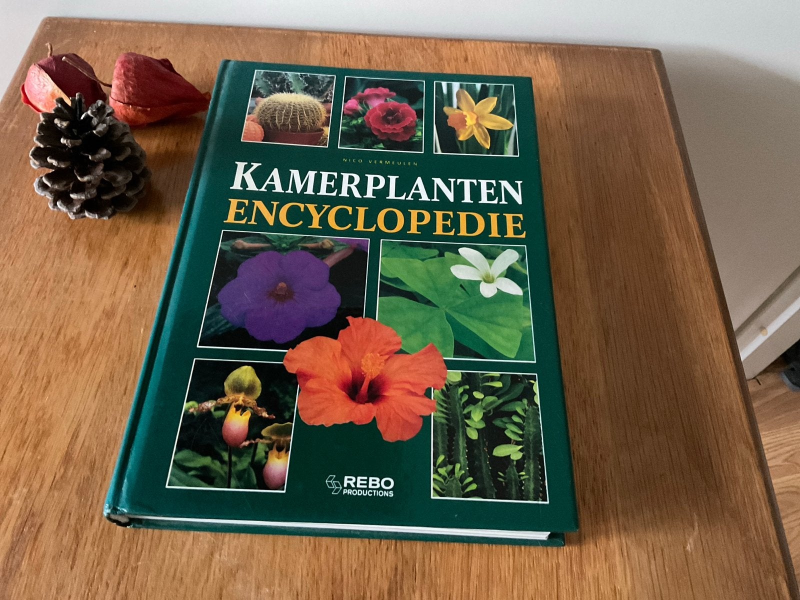 Kamerplanten Encyclopedie - Nico Seawoulen, Ophalen of Verzenden, Zo goed als nieuw, Bloemen en Planten, Los deel