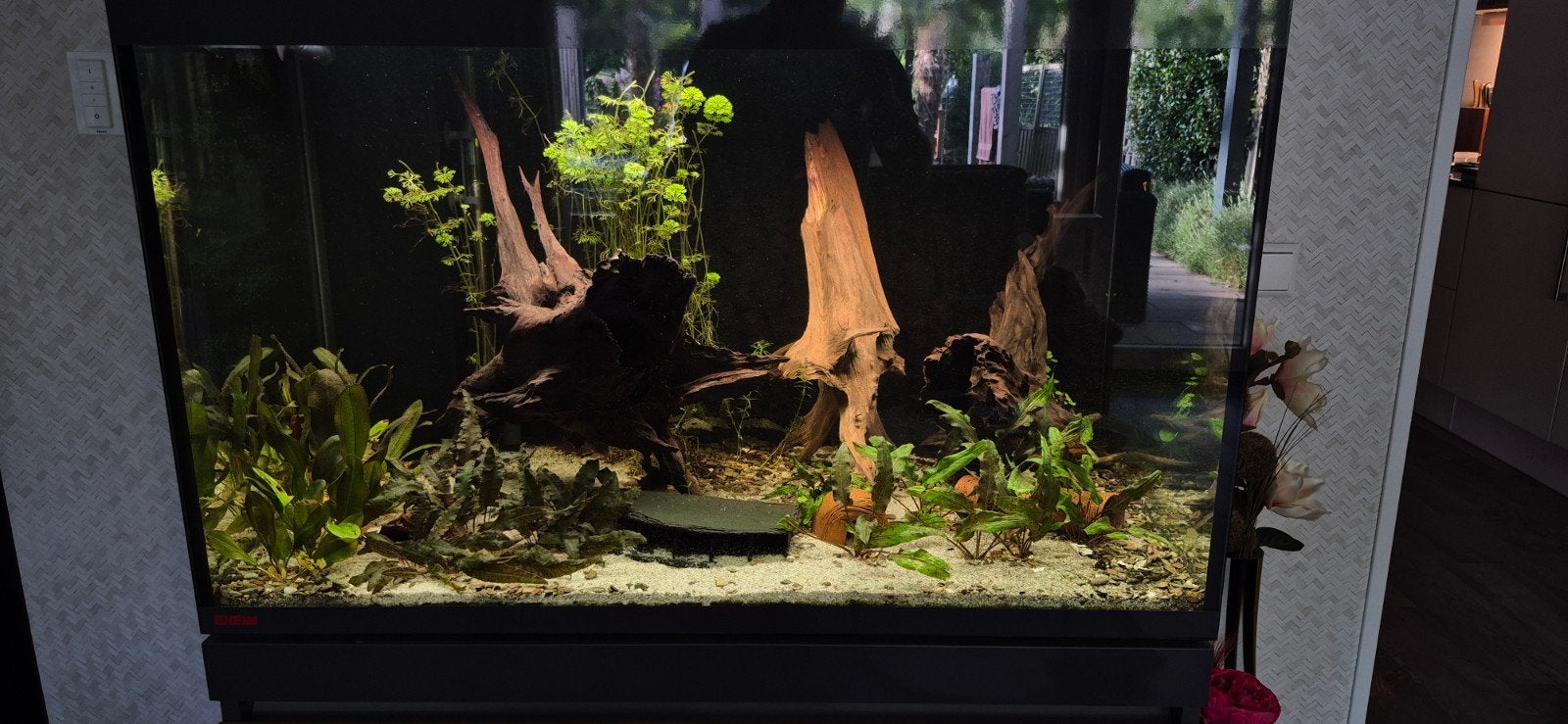 Complete Eheim Incpiria 330, Dieren en Toebehoren, Vissen | Aquaria en Toebehoren, Gebruikt, Gevuld zoetwateraquarium, Inclusief planten