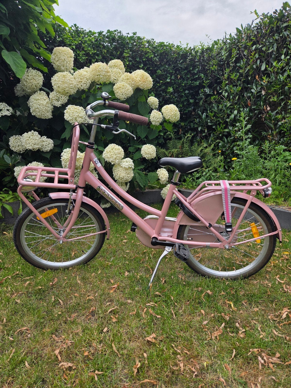 Popal 20 inch kinderfiets - Roze, Ophalen, Velgrem, Popal, 16 tot 20 inch