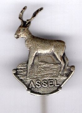 Hert Assel zilverkleurig speldje ( U_003), Verzenden, Zo goed als nieuw, Stad of Land, Speldje of Pin