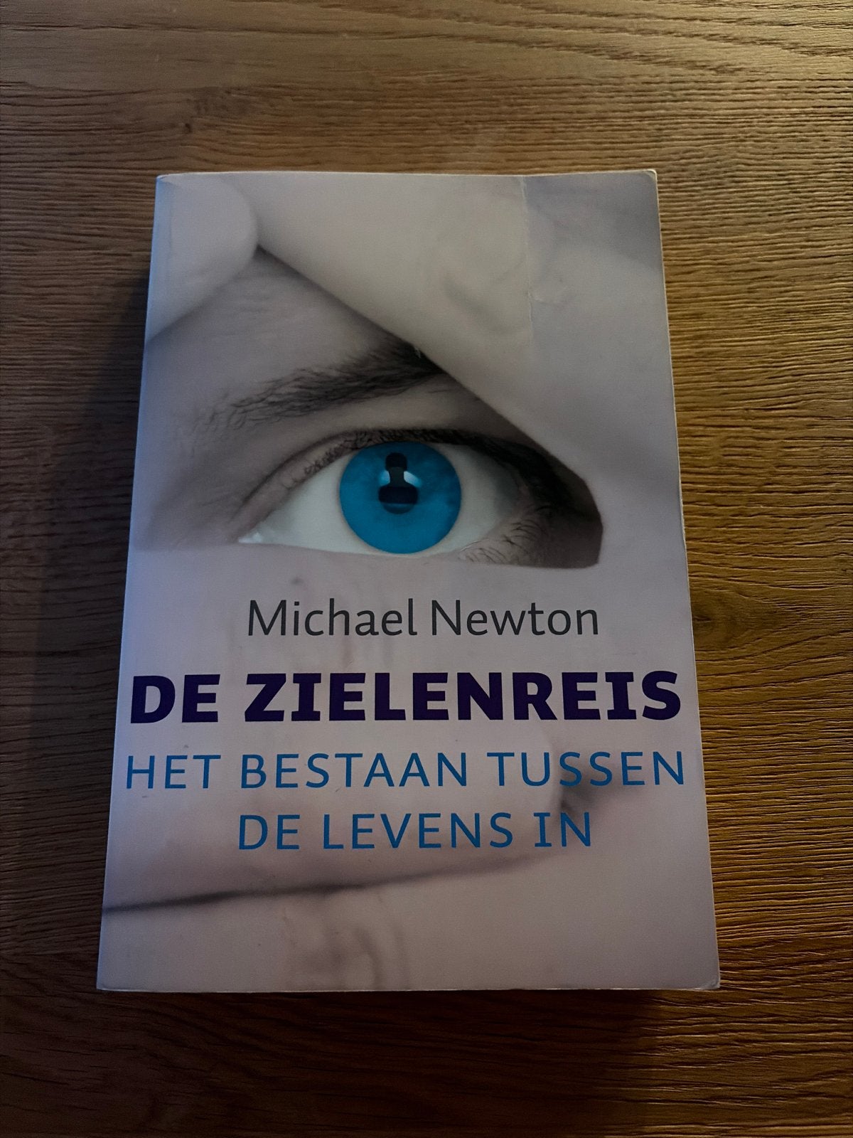 Michael Newton - De Zielenreis, Achtergrond en Informatie, Ziel of Sterfelijkheid, Ophalen of Verzenden, Zo goed als nieuw
