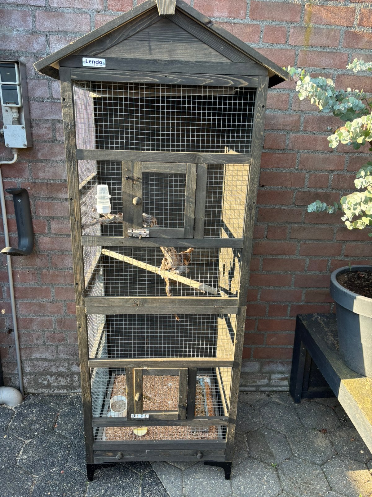 Ruime volière met zwartkopsijs bastaard man, Ophalen, Zo goed als nieuw, Aluminium, Volière