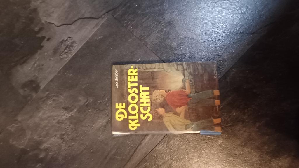 De Kloosterschatz – Loo de Boer | Klassiek jeugdboek, Ophalen of Verzenden, Gelezen