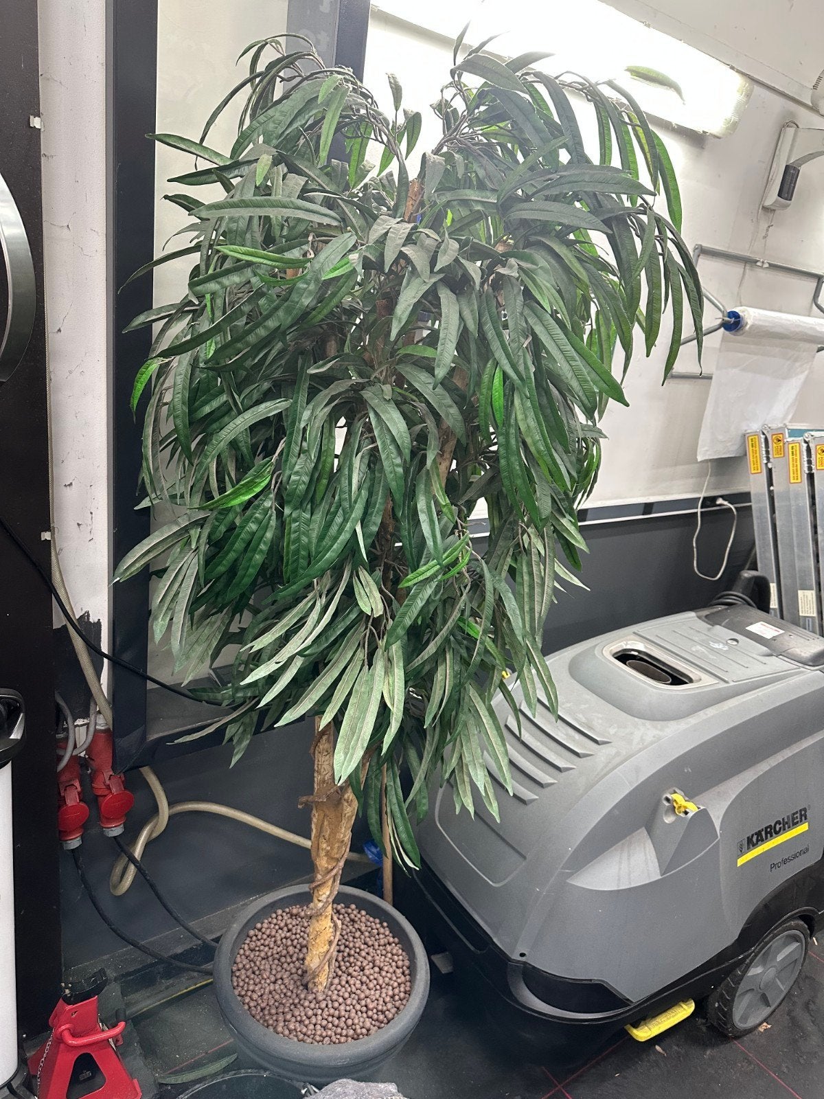 Kunstplant kunstboom, Ophalen, Zo goed als nieuw, Binnen