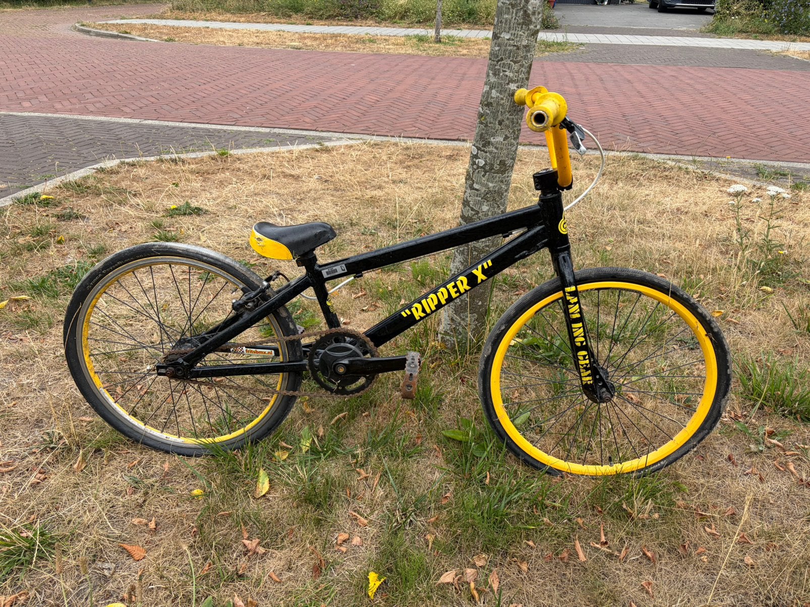 Fietscross (bmx) 20inch, framemaat expert, Fietsen en Brommers, Ophalen, Staal, Velgrem, 16 tot 20 inch