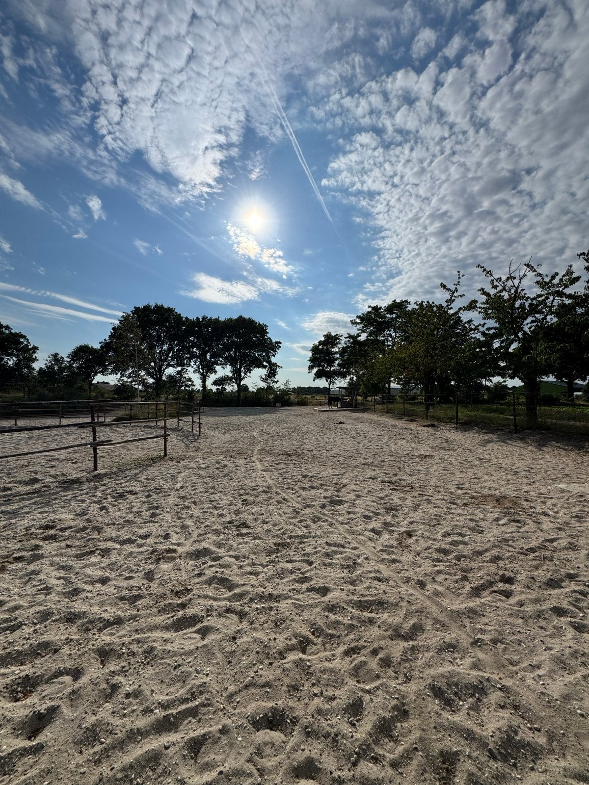 Aangeboden pensionplek op een paddock paradise, Dieren en Toebehoren, Stalling, 2 of 3 paarden of pony's