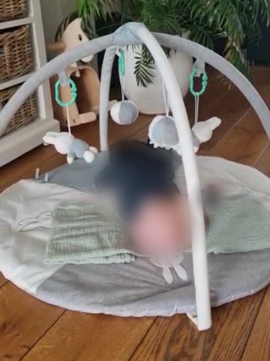 Activiteitengym Nijntje speelkleed, Ophalen, Gebruikt