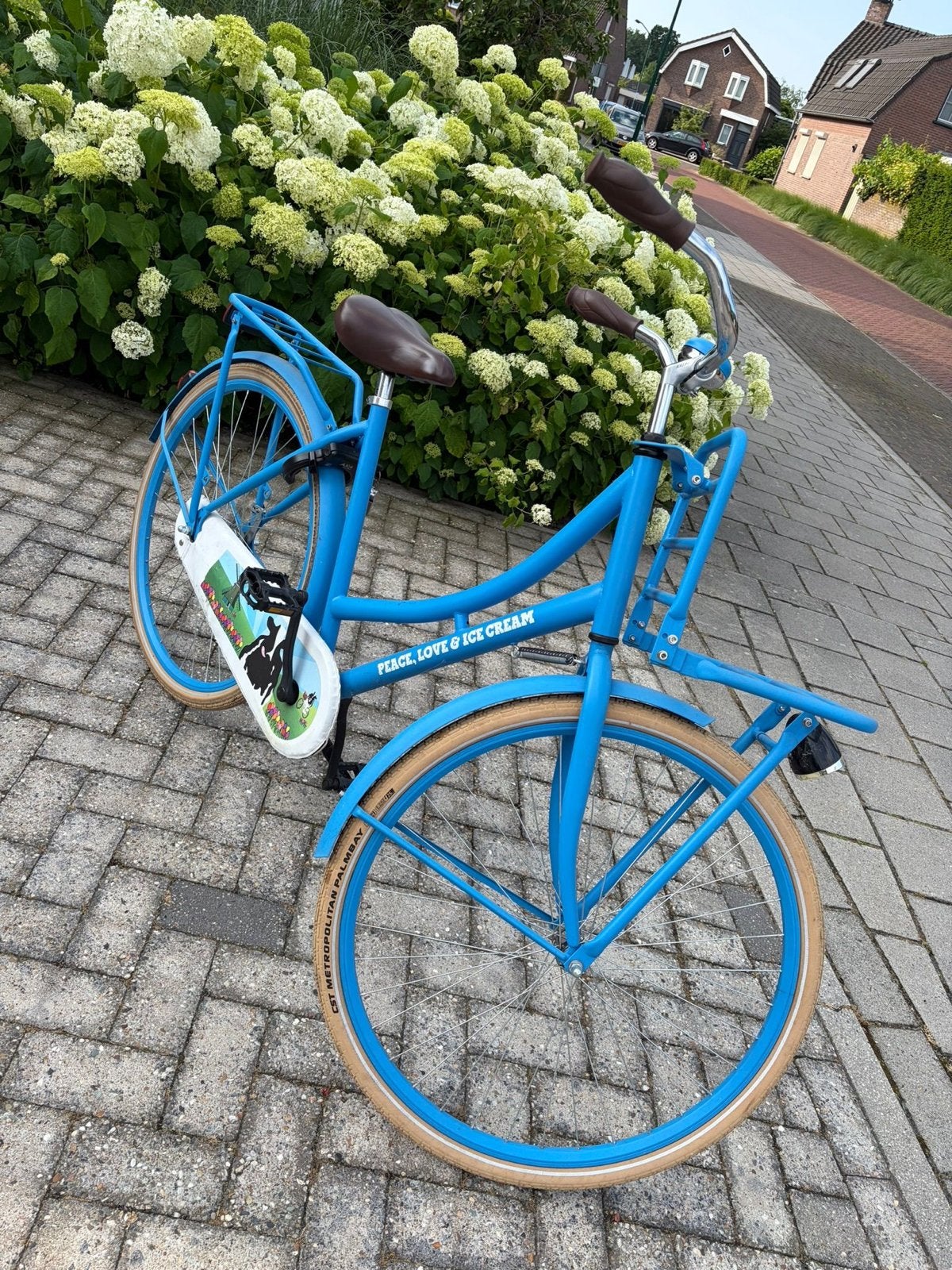 Leuke ben en jerry fietsmet voordrager, Terugtraprem, Gebruikt, Versnellingen, 50 tot 53 cm