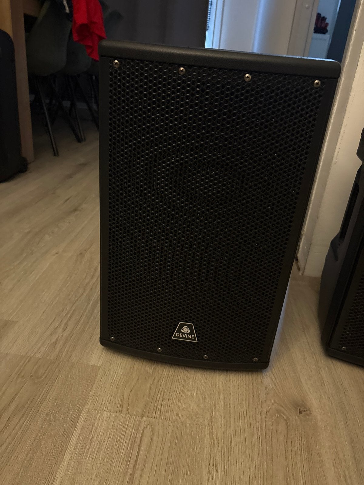 2 x Devine Party Speaker - Krachtige Geluidsweergave, Ophalen of Verzenden, Zo goed als nieuw, Party speaker, Overige merken