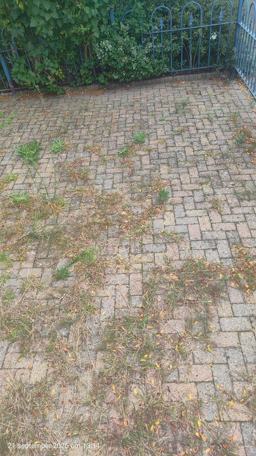 gratis op te halen 20m², Tuin en Terras, Ophalen, Gebruikt, Beton, Klinkers