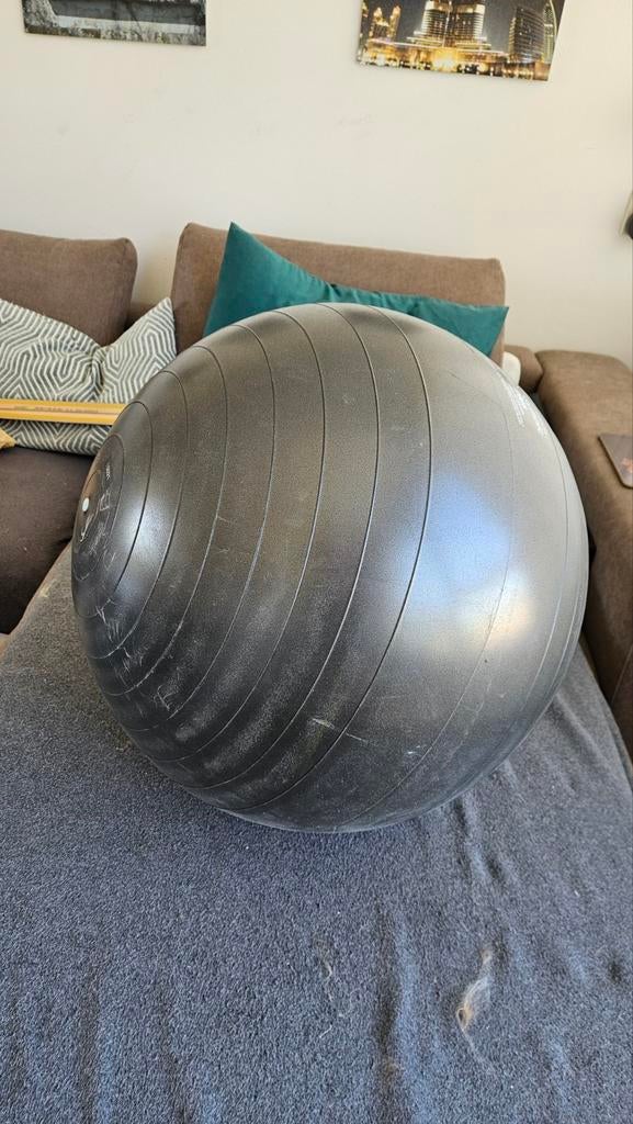 Gymnic Plus Fitnessbal - max Ø 65 cm, Ophalen, Gebruikt, Buik, Fitnessbal
