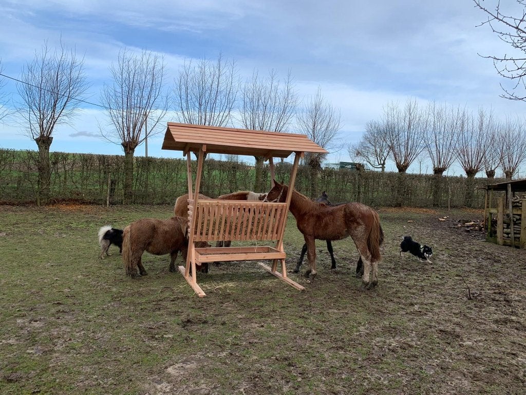 hooiruif paard voor paard en pony schotse hooglander), Dieren en Toebehoren, Ophalen, Nieuw