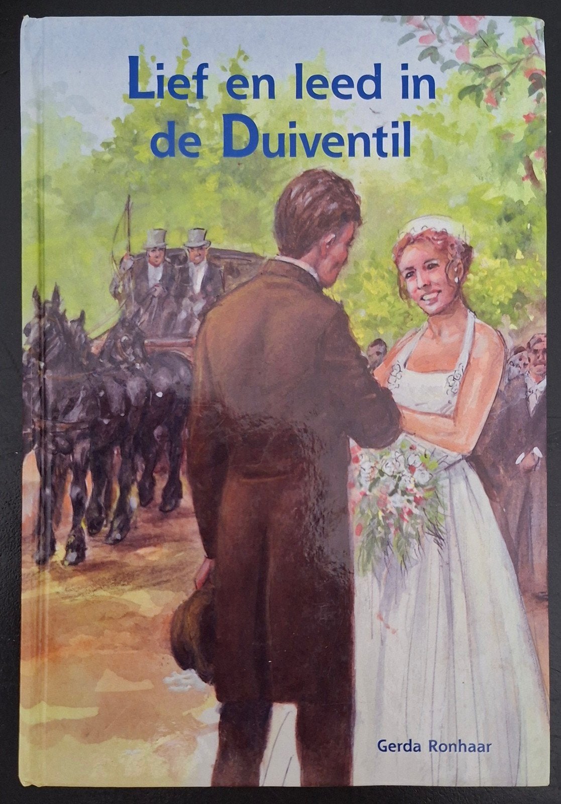 Lief en leed in de Duiventil. Gerda Ronhaar, Ophalen of Verzenden, Gelezen