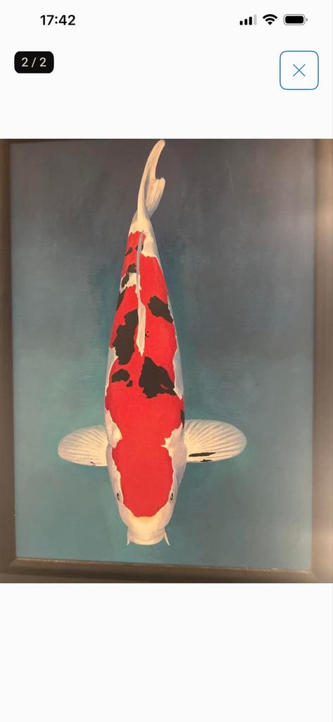 Schilderij van een Koi karper in lijst, Ophalen of Verzenden