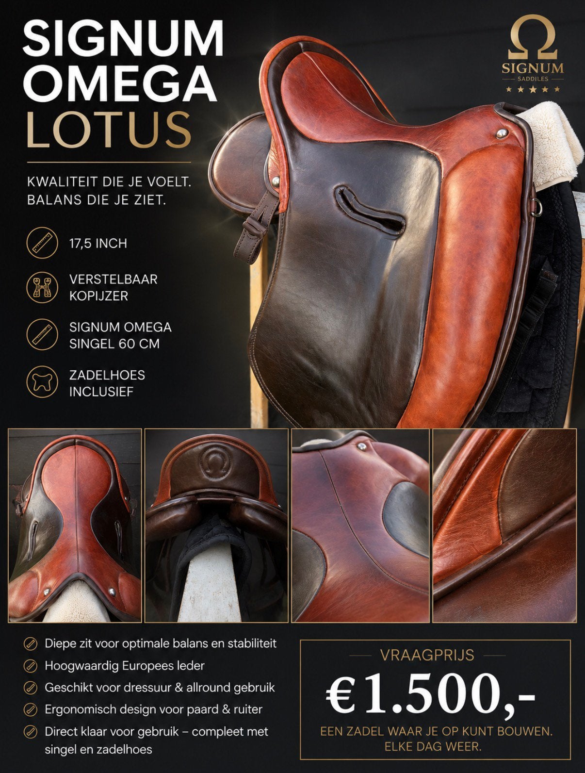 Signum Omega Lotus 17,5 inch, Dieren en Toebehoren, L (17.5 inch), Gebruikt, Dressuur, Overige merken