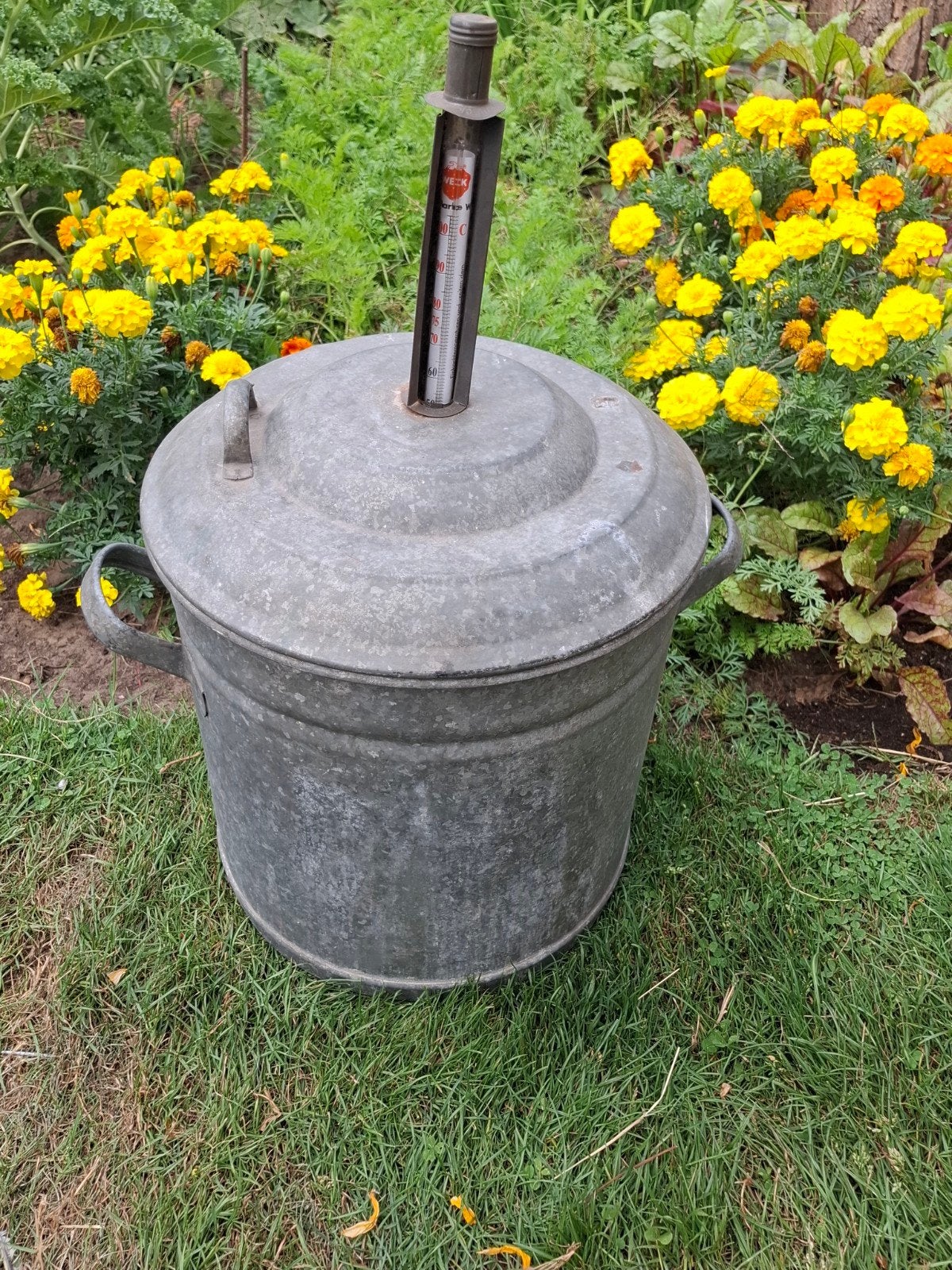 Weckketel met Thermometer., Ophalen