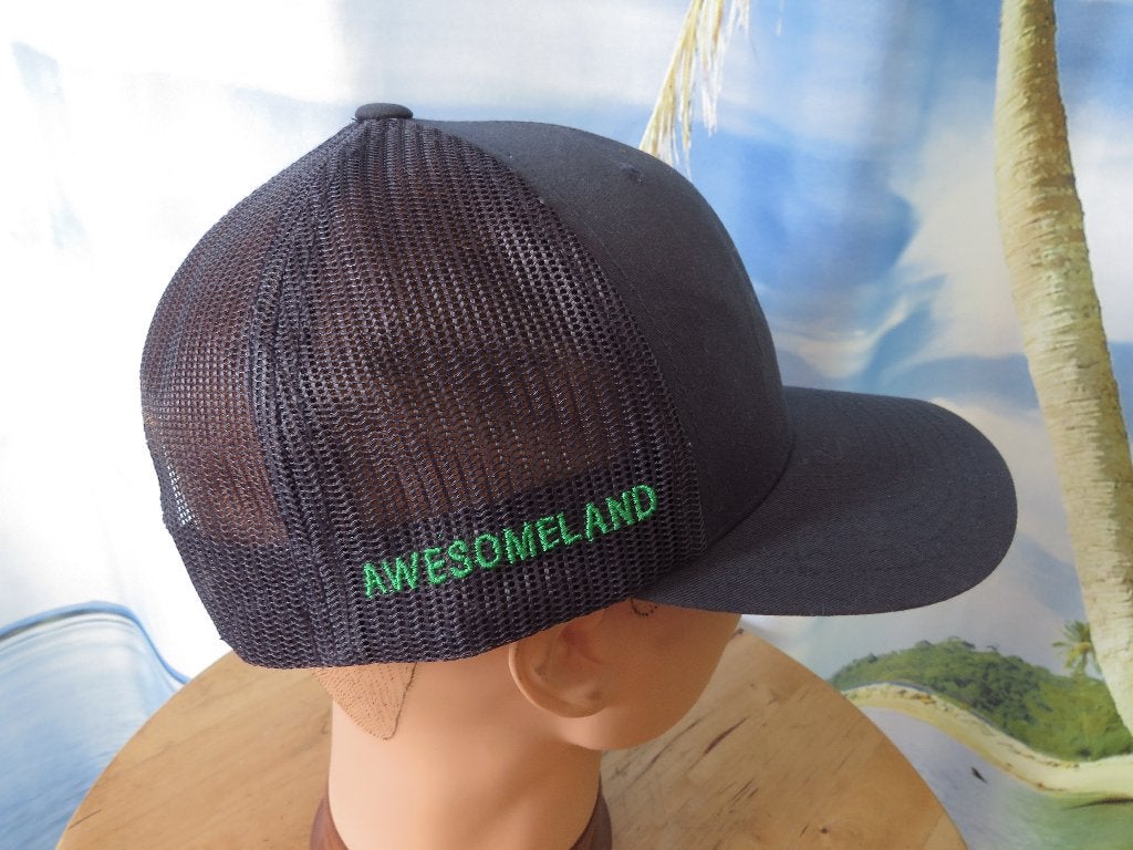 blauwe  pet awesomland, Ophalen of Verzenden, Zo goed als nieuw, One size fits all, Overige