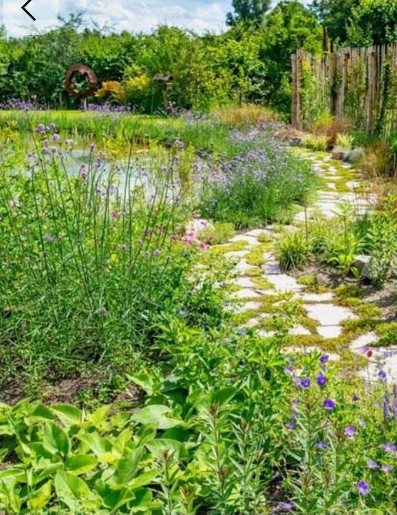 Ecologisch tuinontwerp, Ophalen of Verzenden