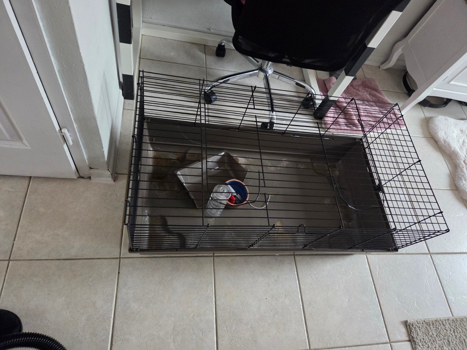 clgroot caviahok / konijnenhok te koop inclusief accessoires, Dieren en Toebehoren, Gebruikt, Cavia, Hok, 75 tot 110 cm
