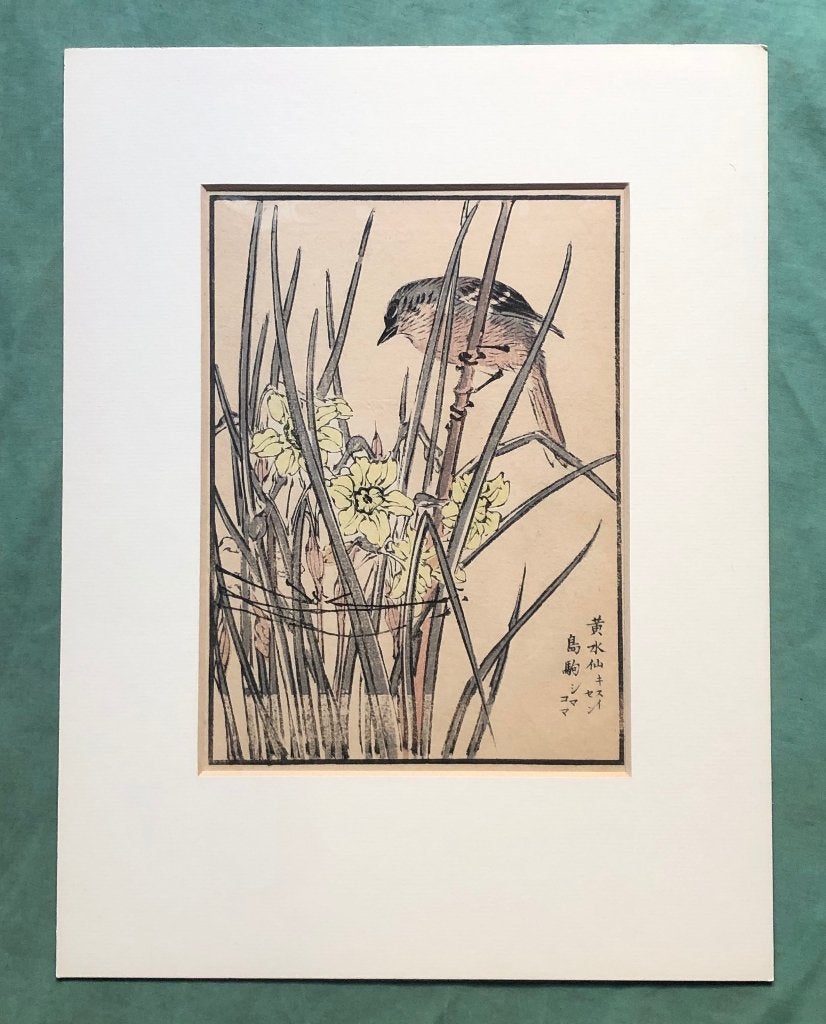 Japanse houtsnede Kikuchi Hobun Vogel, Met passe-partout, 1800 - 1899, Ophalen of Verzenden, Houtsnede