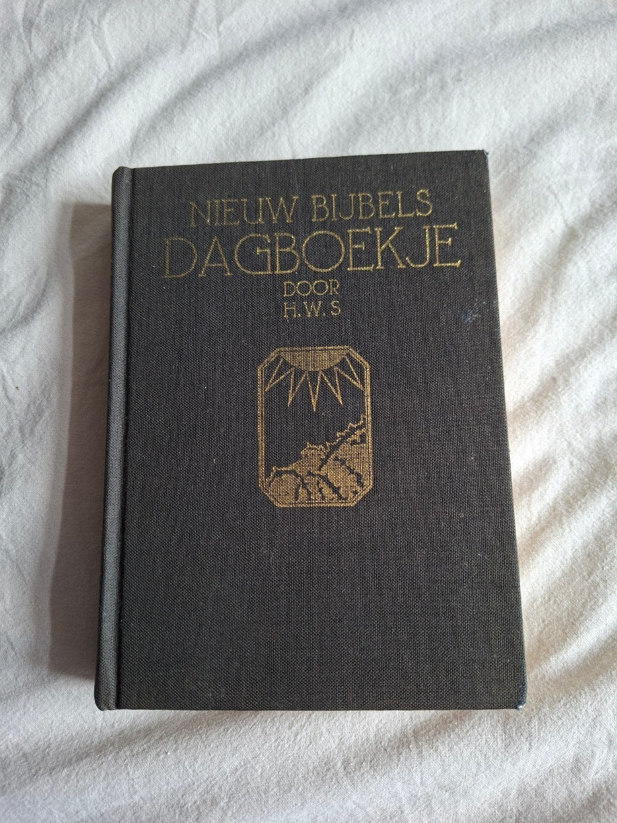 Nieuw Bijbels Dagboekje door H.W.S. - Vintage Religieus Boek, Ophalen of Verzenden, H.W.S.
