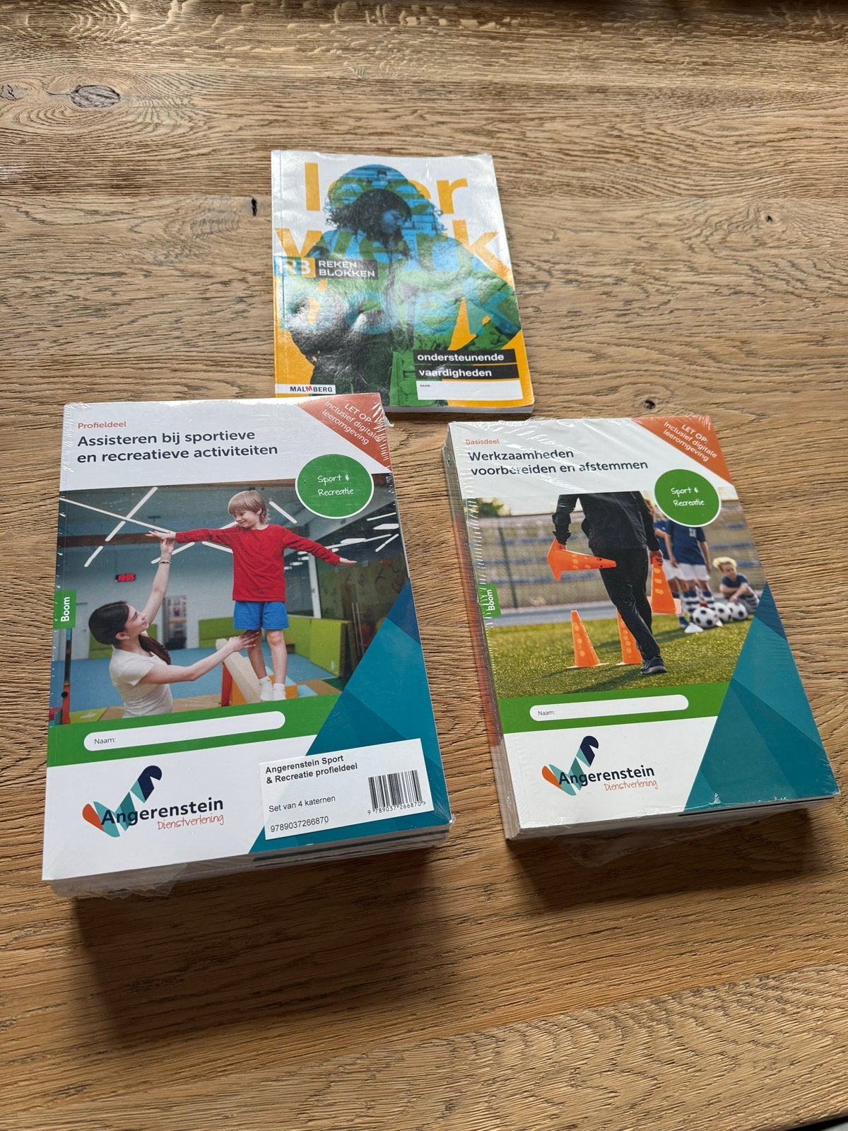 Nieuwe MBO boeken, Sport & Recreatie, Ophalen of Verzenden, Nieuw, MBO