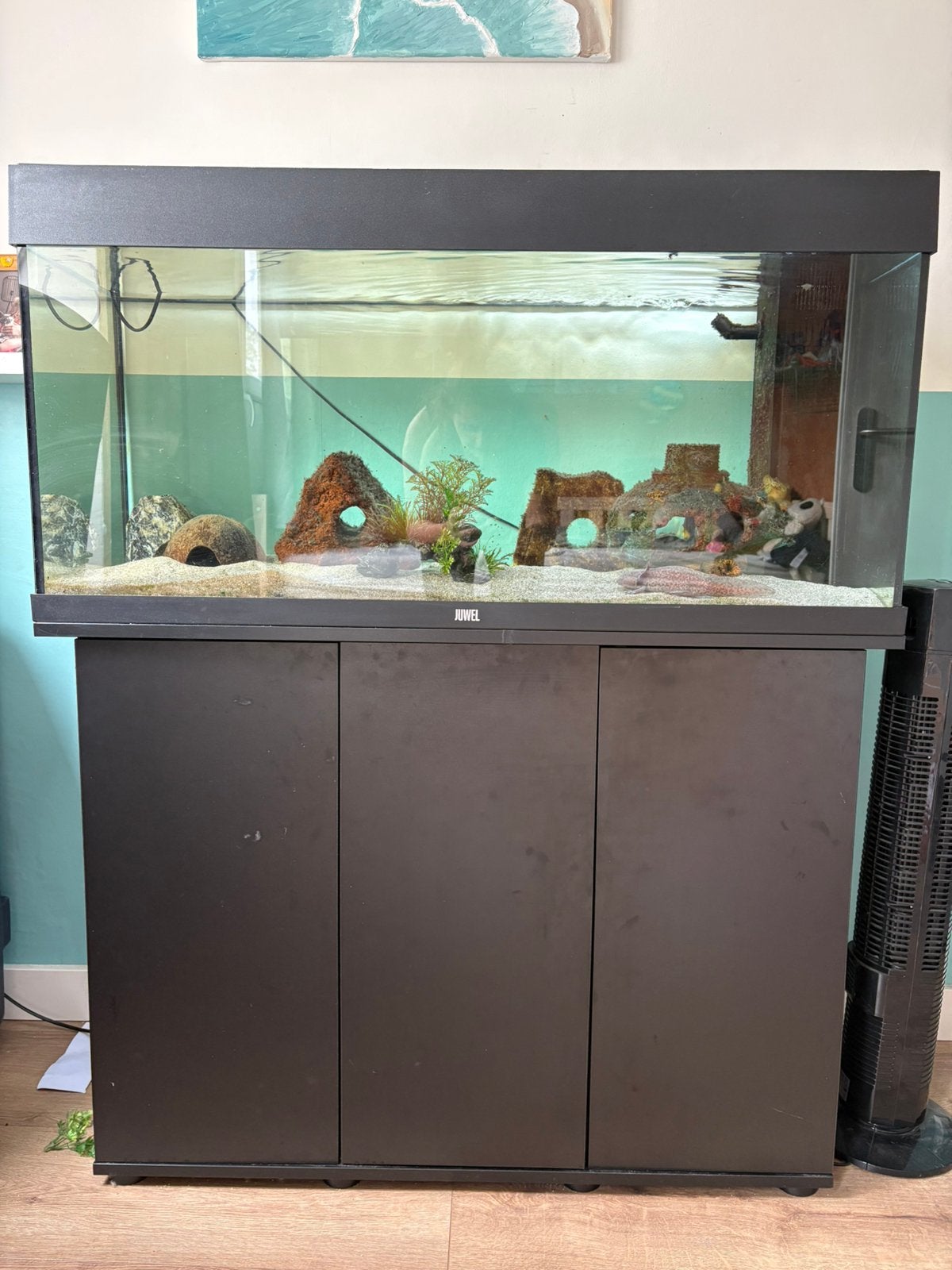 Juwel rio 180 incl. axolotl, Dieren en Toebehoren, Vissen | Aquaria en Toebehoren, Ophalen, Gebruikt, Gevuld zoetwateraquarium