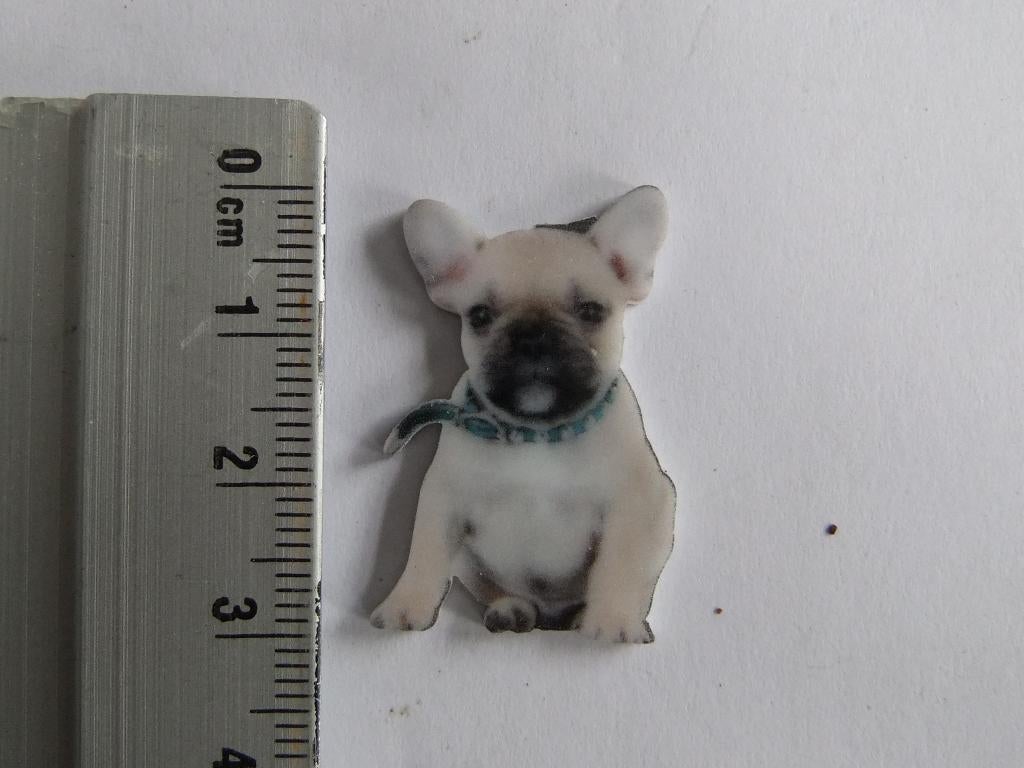Franse Bull dog pin (speldje), Verzenden, Nieuw, Overige onderwerpen