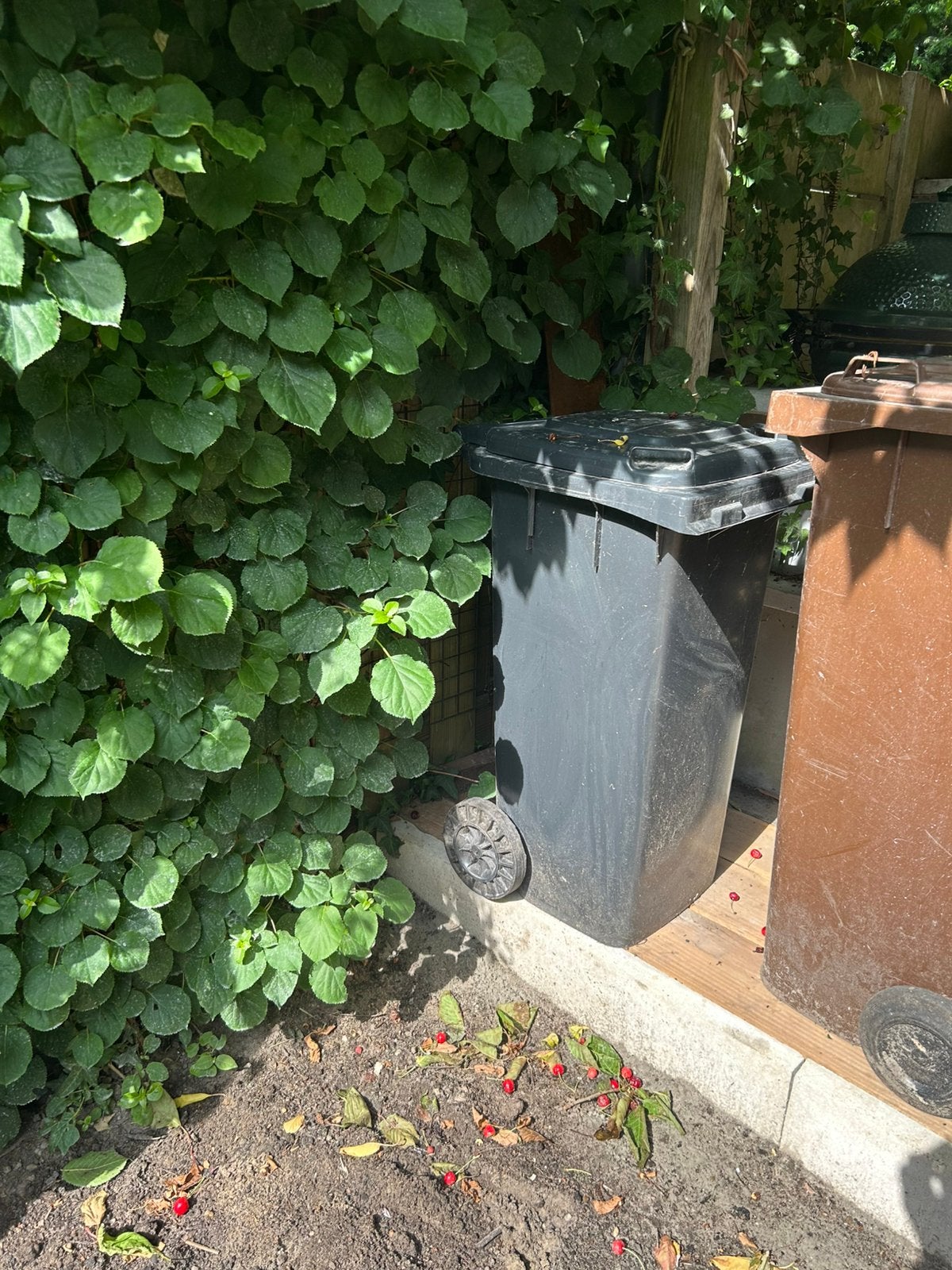 Grijze container, Tuin en Terras, Ophalen, Zo goed als nieuw, Kunststof, Containerberging