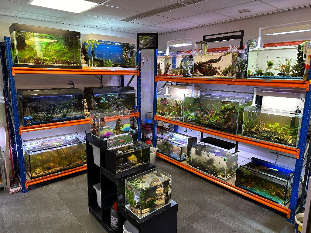 Aquaria en toebehoren, Dieren en Toebehoren, ., Overige typen, Nieuw, Overige merken