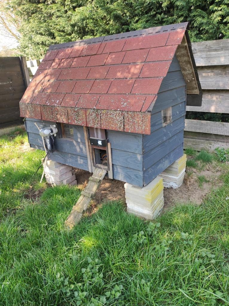 Kippenhok met automatisch deurtje, Ophalen, Gebruikt, Kippenhok of Kippenren