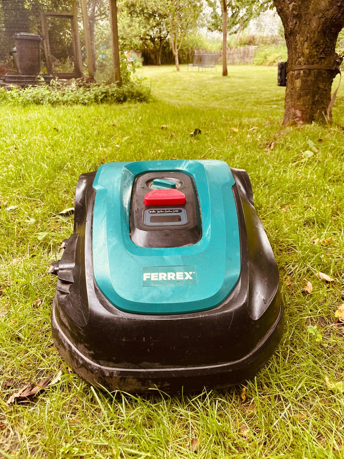 Ferrex R800 Smart Robotmaaier - 20V - Tot 800m², Cirkelmaaier, Minder dan 30 cm, Accu-grasmaaier, Nieuw