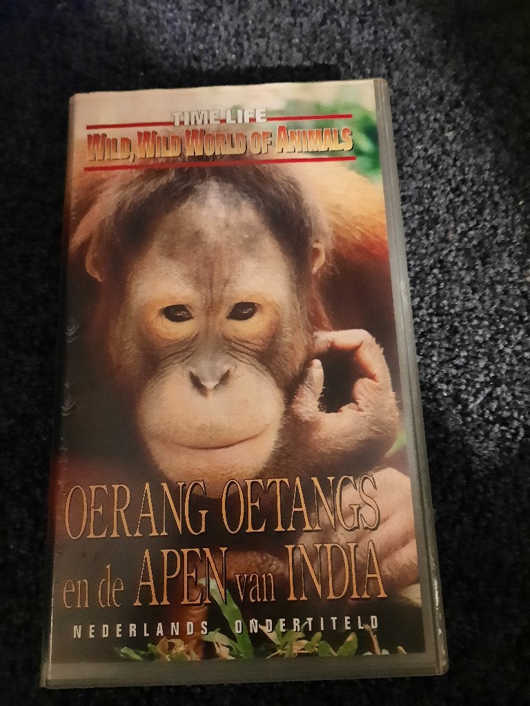 DE ORANG OETANGS VAN BORNEO! Mooie Documentaire Op VIDEO!, Cd's en Dvd's, Documentaire, Verzenden, Alle leeftijden, Zo goed als nieuw