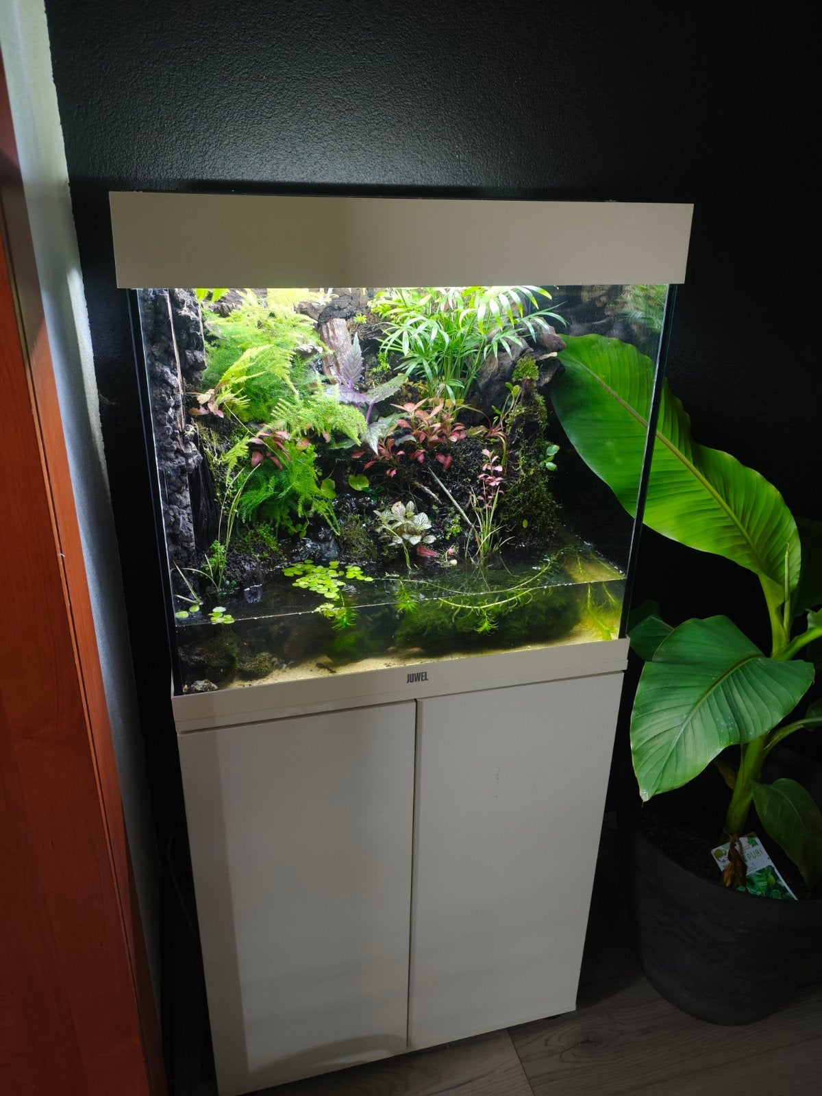 Paludarium project, Ophalen of Verzenden