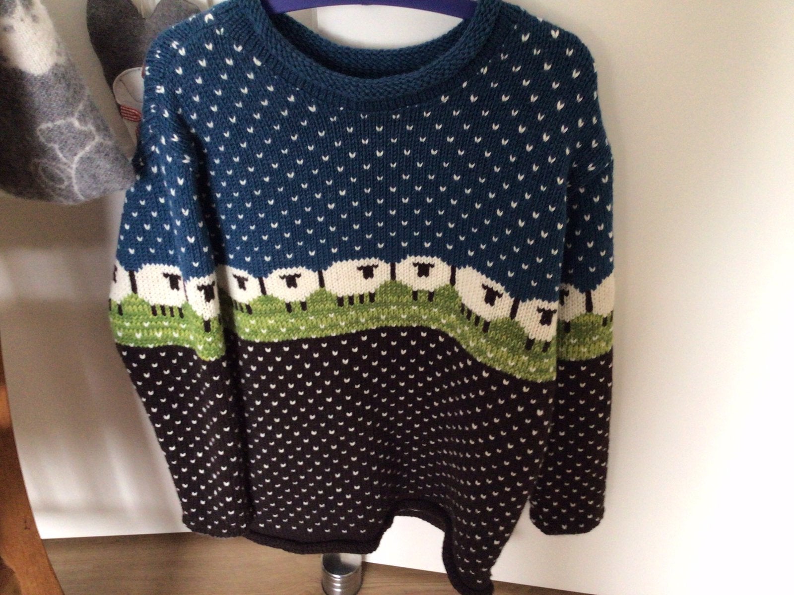 Wollen trui, Kleding | Dames, Ophalen of Verzenden, Zo goed als nieuw, Trui of Vest