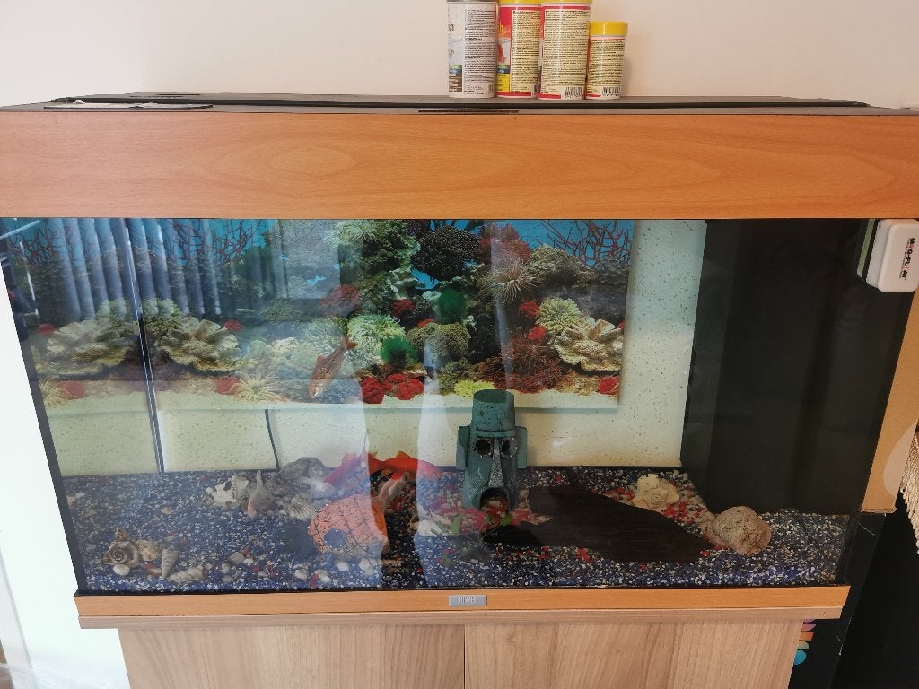 Juwel aquarium vompleet met kast, Ophalen, Gebruikt, Landelijk, Beige
