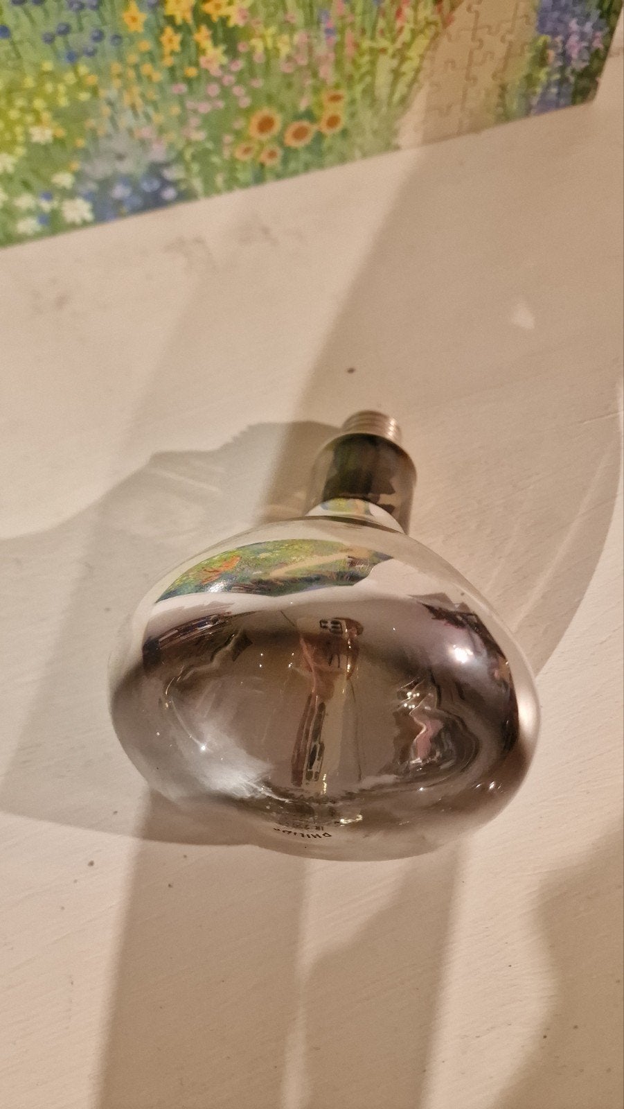 Philips Infrarood Warmtelamp 250W E27, Gebruikt, Philips, Glas, Overige kleuren