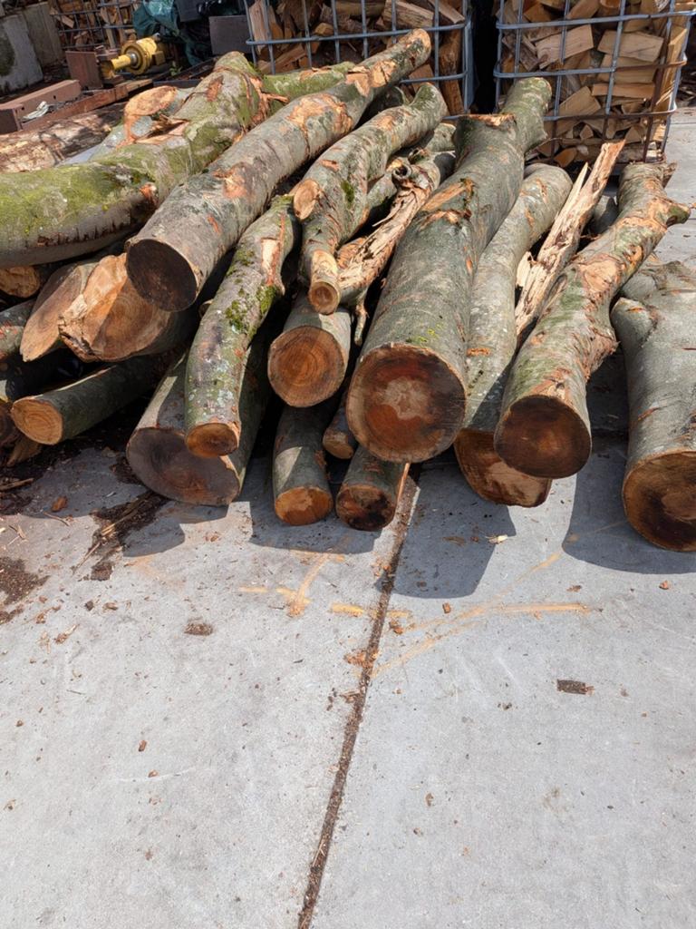 Partij van 4 kuub beukenstammen, Tuin en Terras, Haardhout, 3 tot 6 m³, Ophalen, Beukenhout, Stammen