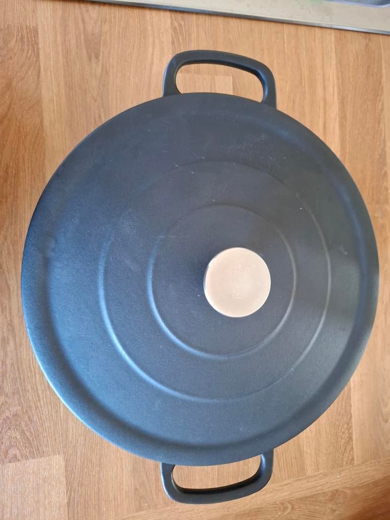 Gietijzeren braadpan 28cm, Royal van Kempen & Begeer, Ophalen of Verzenden, Zo goed als nieuw, Gietijzer, Koekenpan of Braadpan