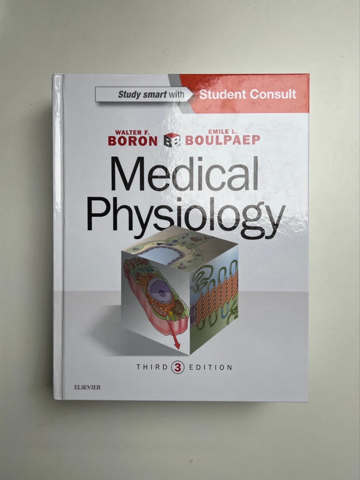 Medical Physiology - Walter F. Boron (ISBN: 9781455743773), Ophalen of Verzenden, Beta, Zo goed als nieuw, WO