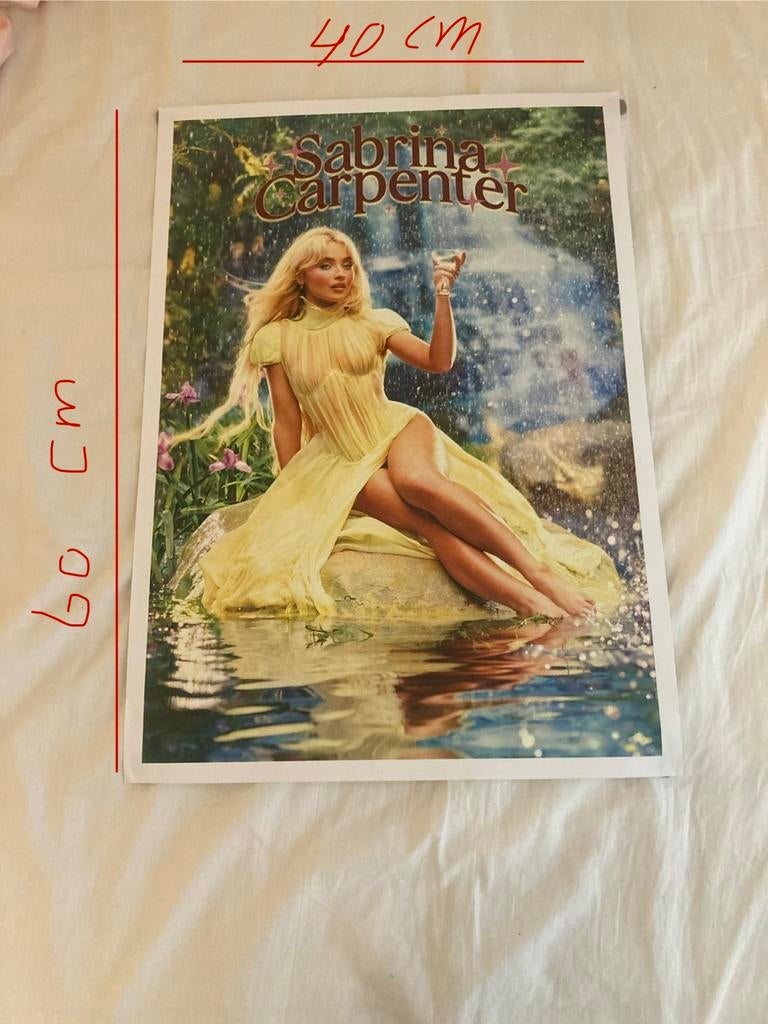 Sabrina carpenter poster, A2 formaat, Ophalen of Verzenden, Zo goed als nieuw, A1 t/m A3, Film en Tv