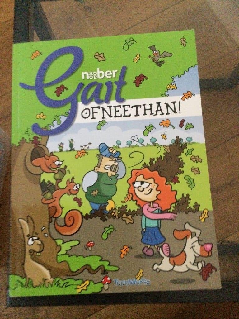Noaber Gait,  of neethan!  Streek stripalbum uit het oosten, Ophalen of Verzenden, Zo goed als nieuw