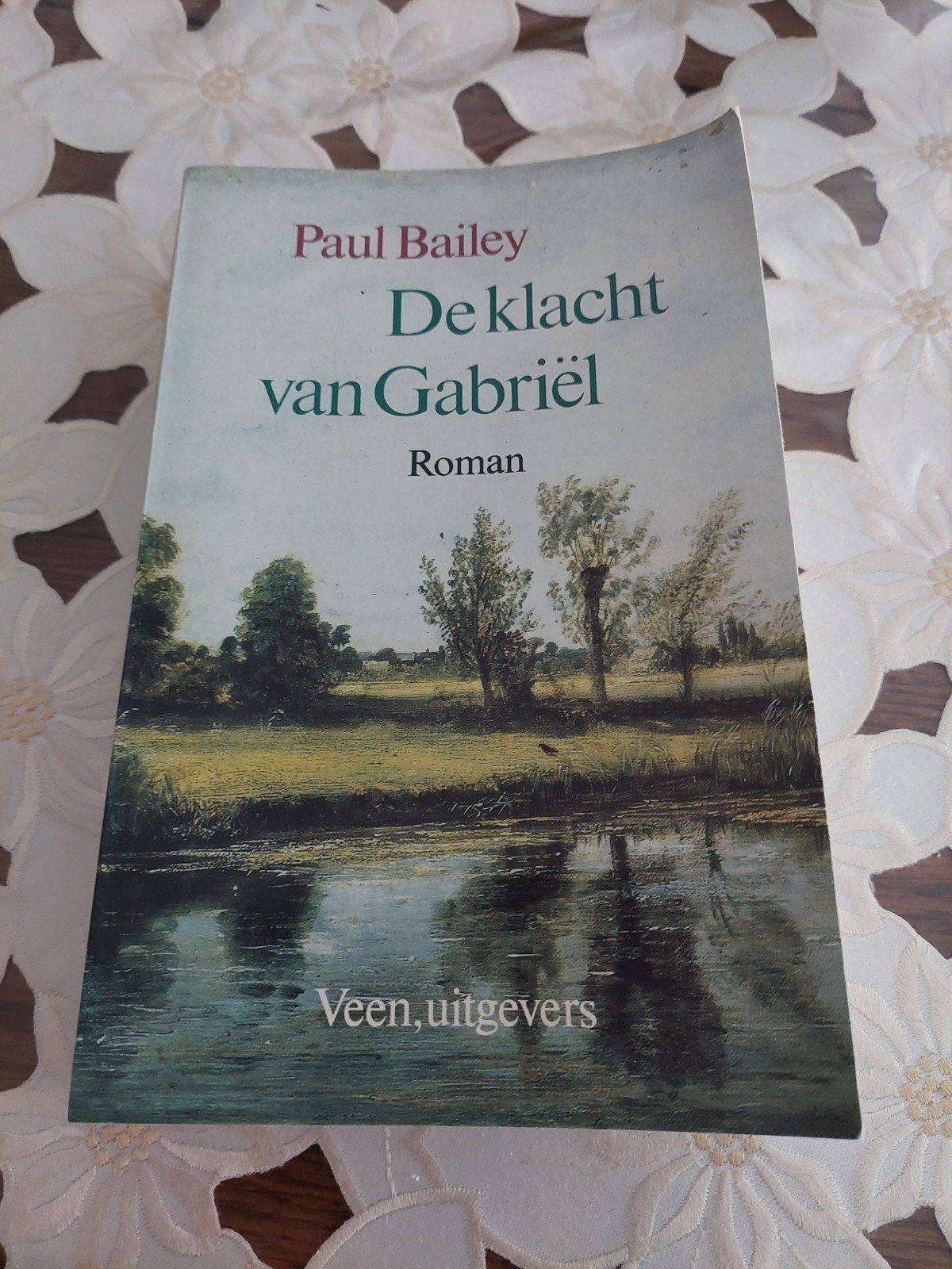 De Klacht Van Gabriël. Boek., Boeken, Ophalen of Verzenden, Zo goed als nieuw, Nederland, Paul Baily.