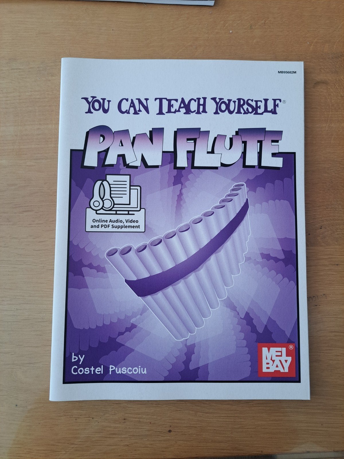 You Can Teach Yourself Pan Flute - Boek, Muziek en Instrumenten, Ophalen of Verzenden, Nieuw, Overige soorten