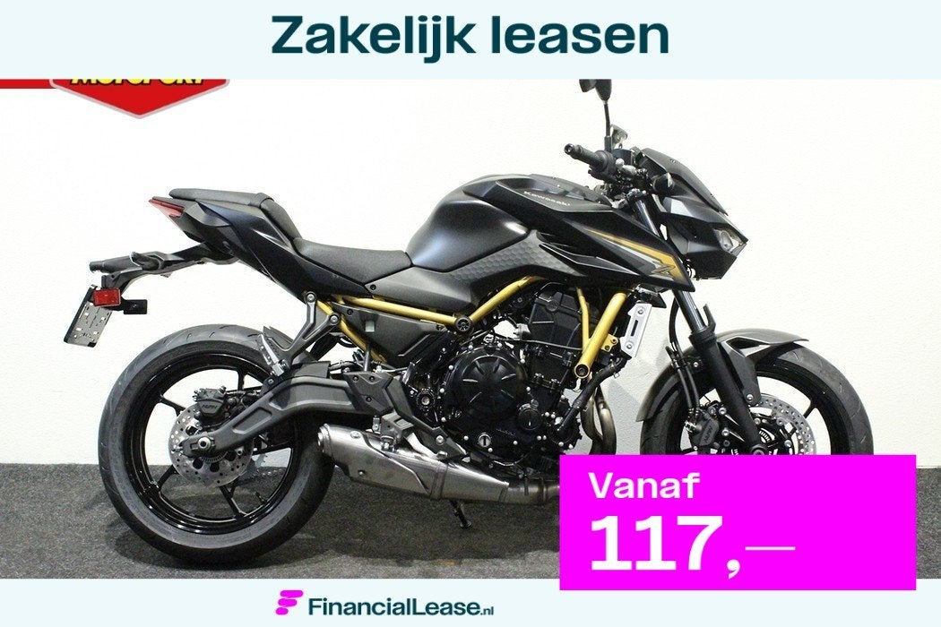 Kawasaki Z650 S, Bedrijf, Naked bike
