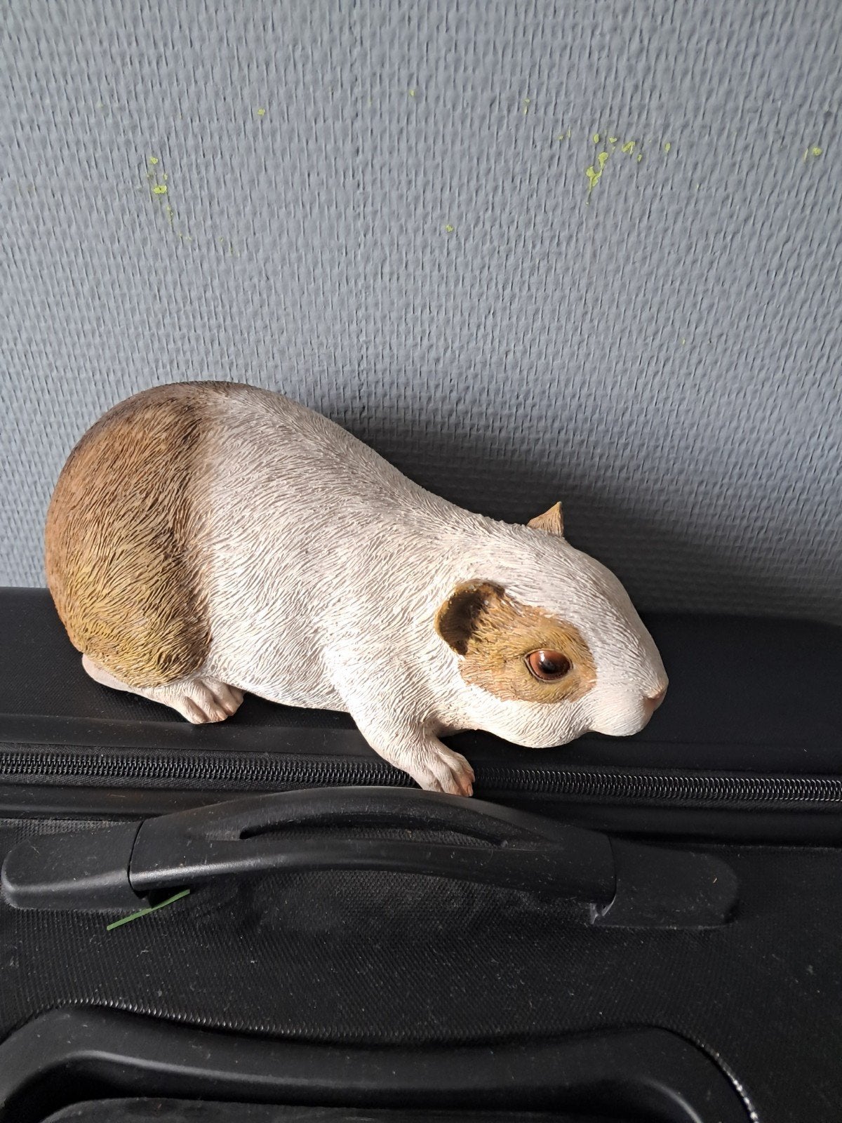 Mooi beeld van een cavia, Ophalen of Verzenden, Nieuw, Dier
