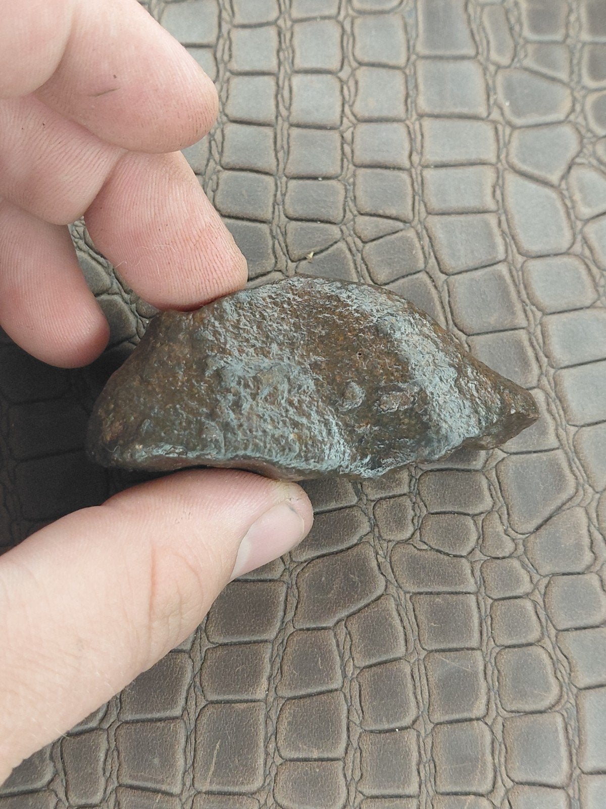 88 gram grote Steen meteoriet, Verzenden