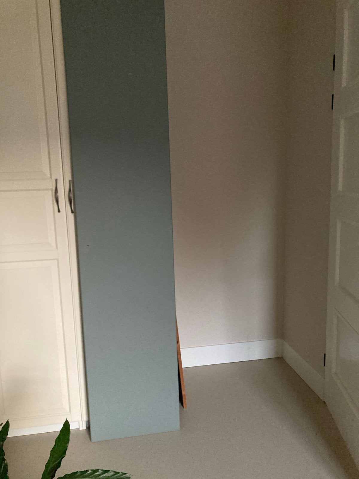IKEA Reinsvoll grijsgroene deur (gebruikt) 50x229, Ophalen, Minder dan 50 cm, Gebruikt, 200 cm of meer