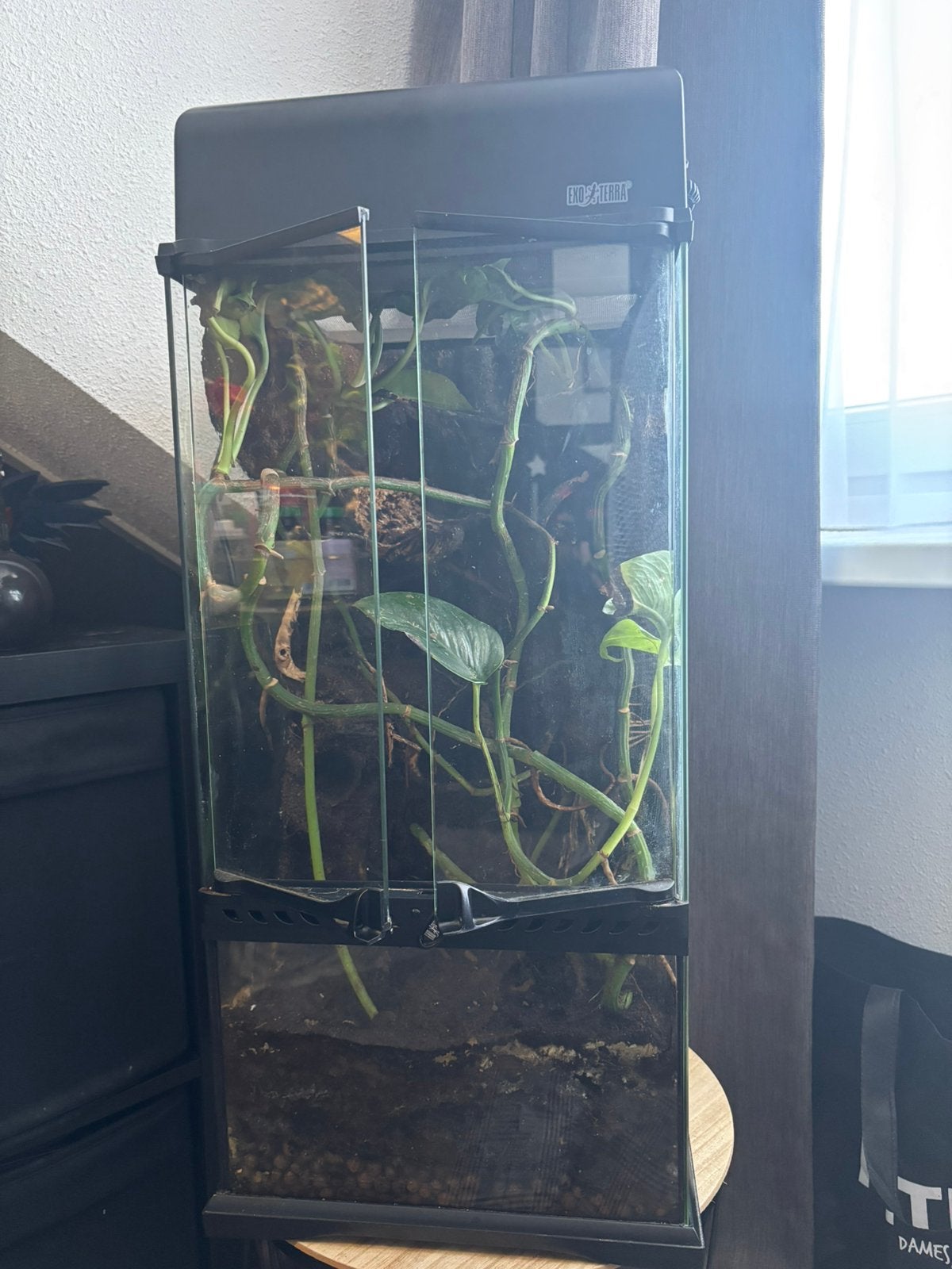 Exo terra terrarium, bio actief., Ophalen, Gebruikt, Terrarium of Paludarium