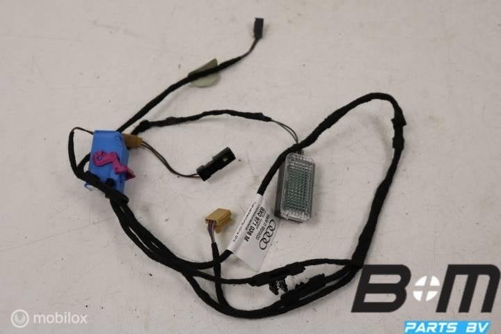 Kabelboom deurpaneel rechtsvoor Audi A1 8X 8X0971036M, Auto-onderdelen, Gebruikt